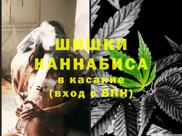 гидра Арсеньев