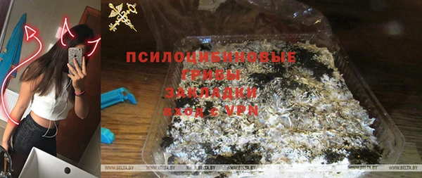 хмурый Краснослободск