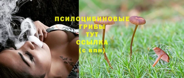 ПСИЛОЦИБИНОВЫЕ ГРИБЫ Корсаков