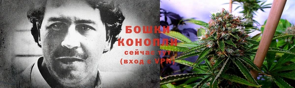 ПСИЛОЦИБИНОВЫЕ ГРИБЫ Корсаков
