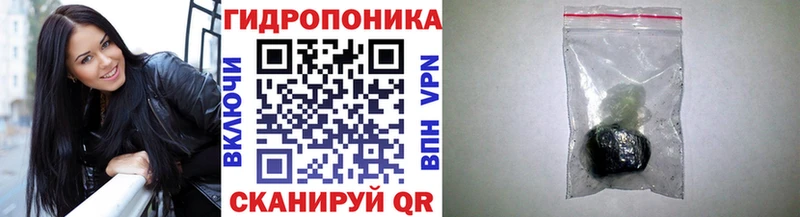 kraken рабочий сайт Александров Каннабис индика